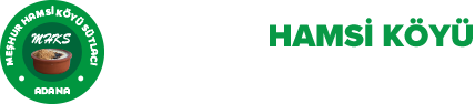 Meşhur Hamsiköy Sütlacı